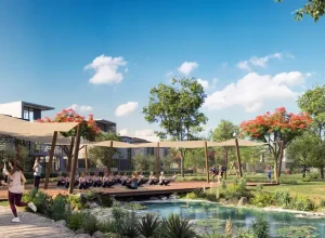 suncity2